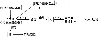 作业帮