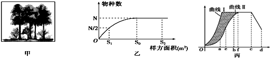 作业帮