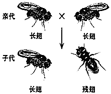 作业帮