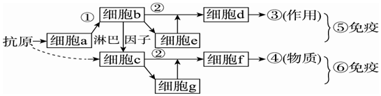 作业帮