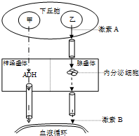 作业帮