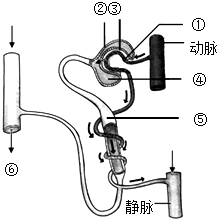 作业帮