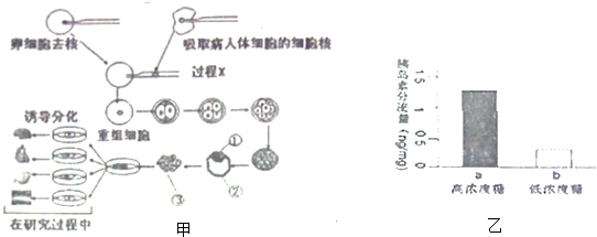 作业帮