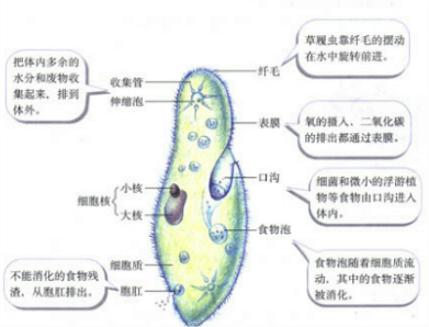 作业帮