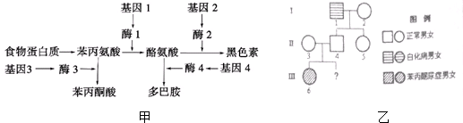 作业帮