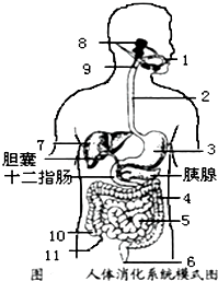 作业帮