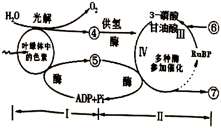 作业帮