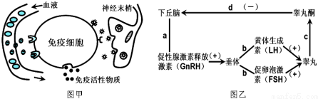 作业帮