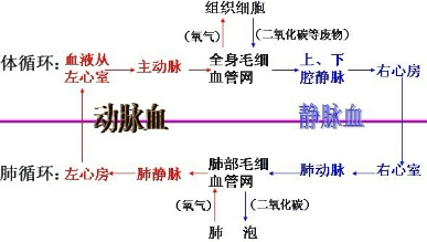 作业帮