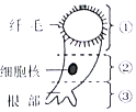 作业帮