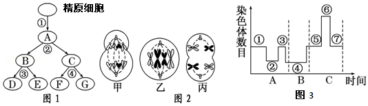 作业帮