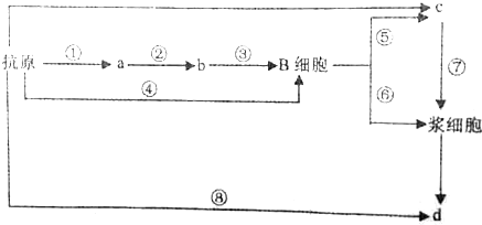 作业帮