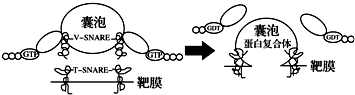 作业帮