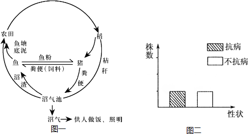 作业帮