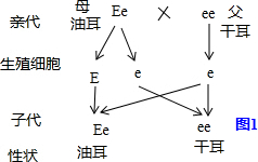 作业帮