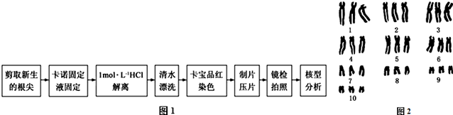 作业帮