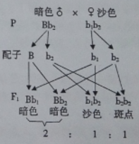 作业帮