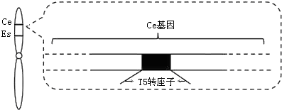 作业帮