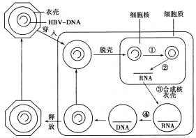 作业帮