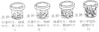 作业帮