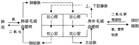 作业帮