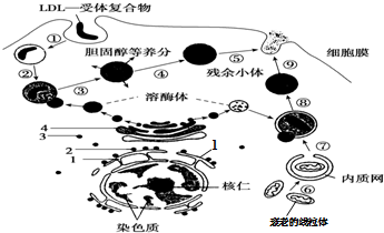 作业帮