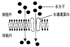 作业帮