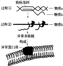 作业帮