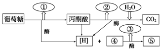 作业帮