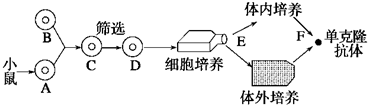 作业帮