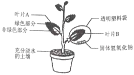 作业帮