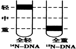 作业帮