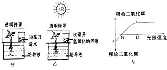 作业帮