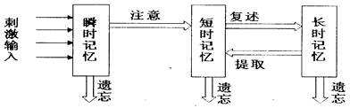 下图是记忆的三级信息加工模式图.