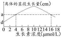 作业帮