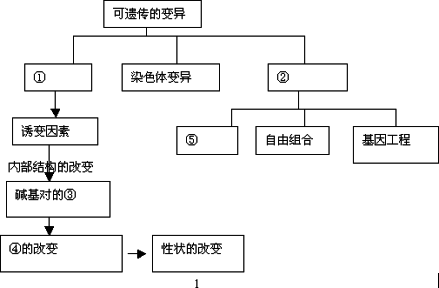 下图是有关生物变异来源概念图,据图回答下列问题