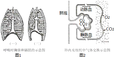 作业帮