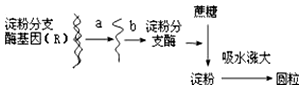 作业帮