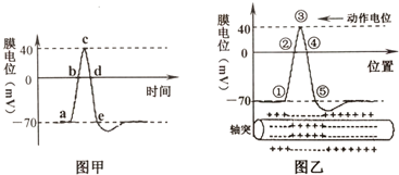 作业帮