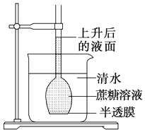 作业帮