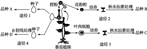 作业帮