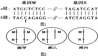 作业帮