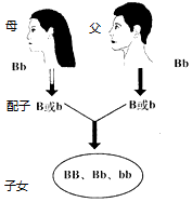 作业帮