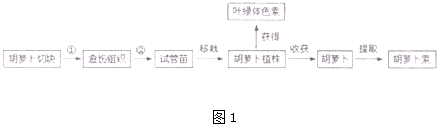 作业帮