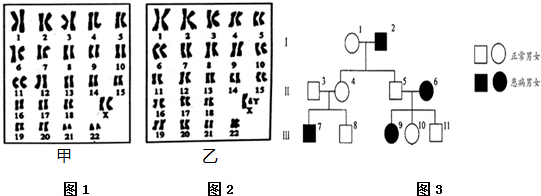 作业帮