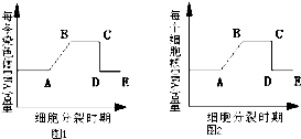 作业帮