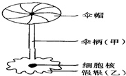 作业帮