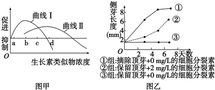 作业帮