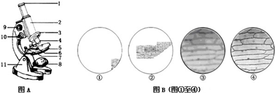 作业帮