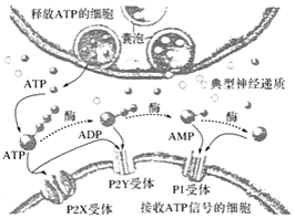 作业帮